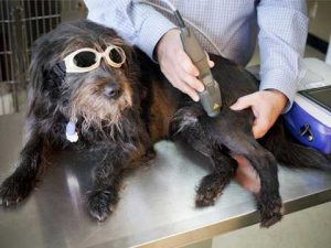Laser therapy treatment