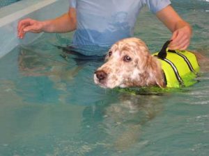 Aquatic Therapy a/k/a Swim Therapy