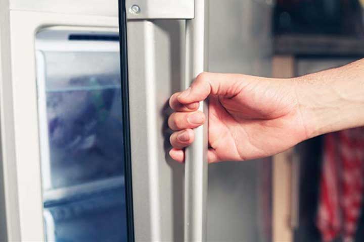 The Top 10 Dog Breeding Supplies Dog Breeders Need In Their Freezers