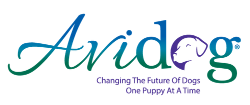 logo-avidog-2018
