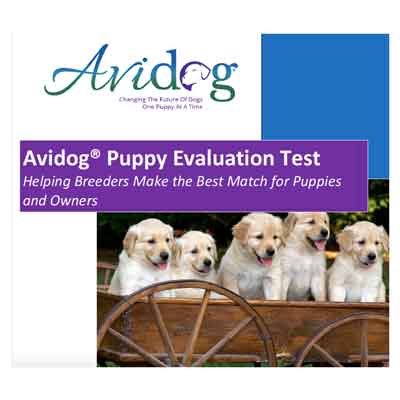 Avidog Puppy Evaluation Test - Avidog University