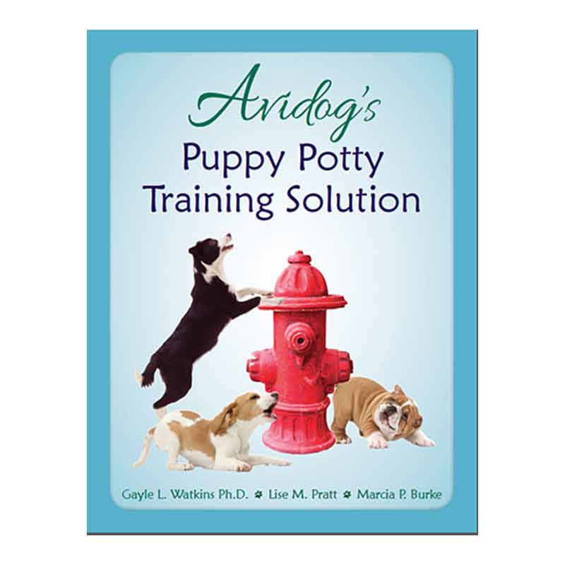 Puppy Potty Training Solution Avidog University,Ham Hock And Beans Soup Recipe