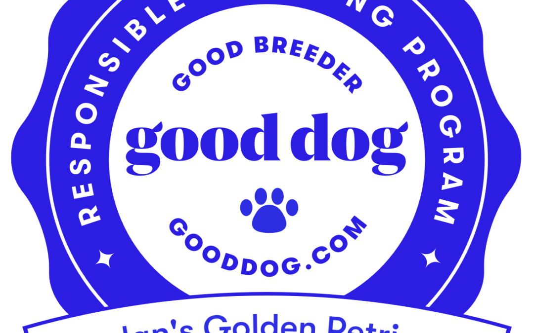 Why I Joined Good Dog…and why you should support them, too!