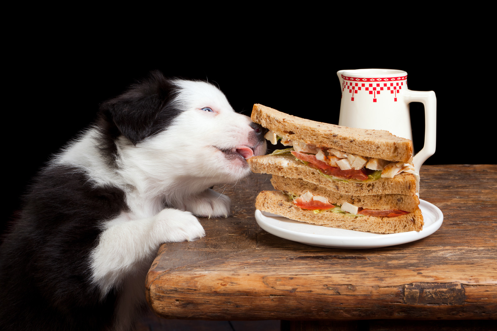 canstockphoto8915384BC-sandwich-steal