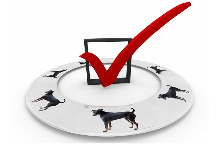 why-we-use-checlists
