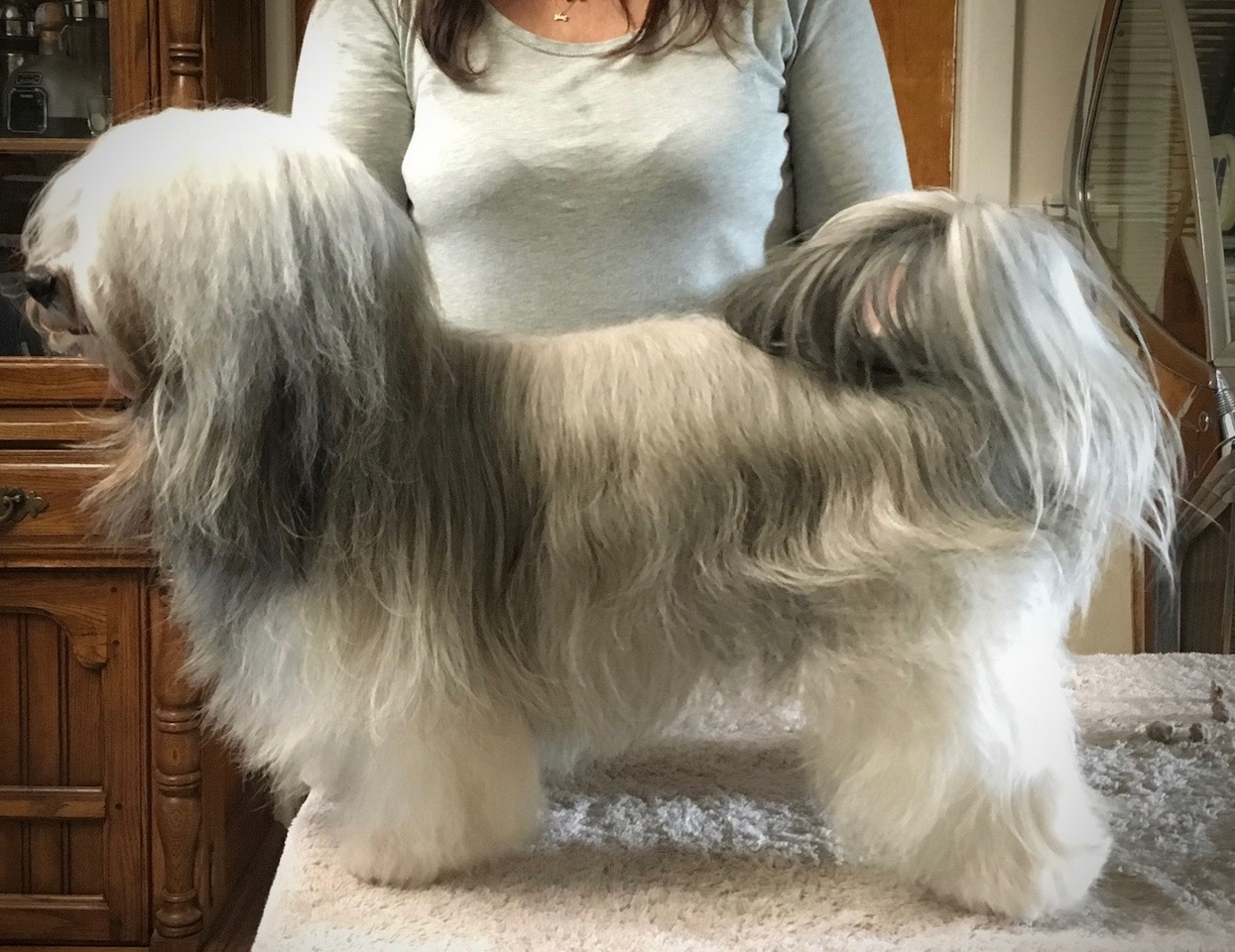 Chewy stack