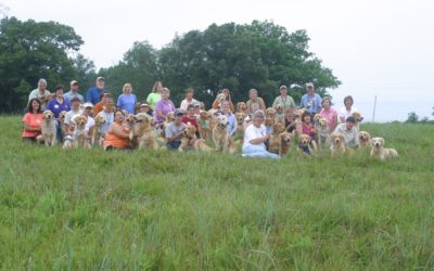 Four Reasons Dog Breeders Need a Community of Practice