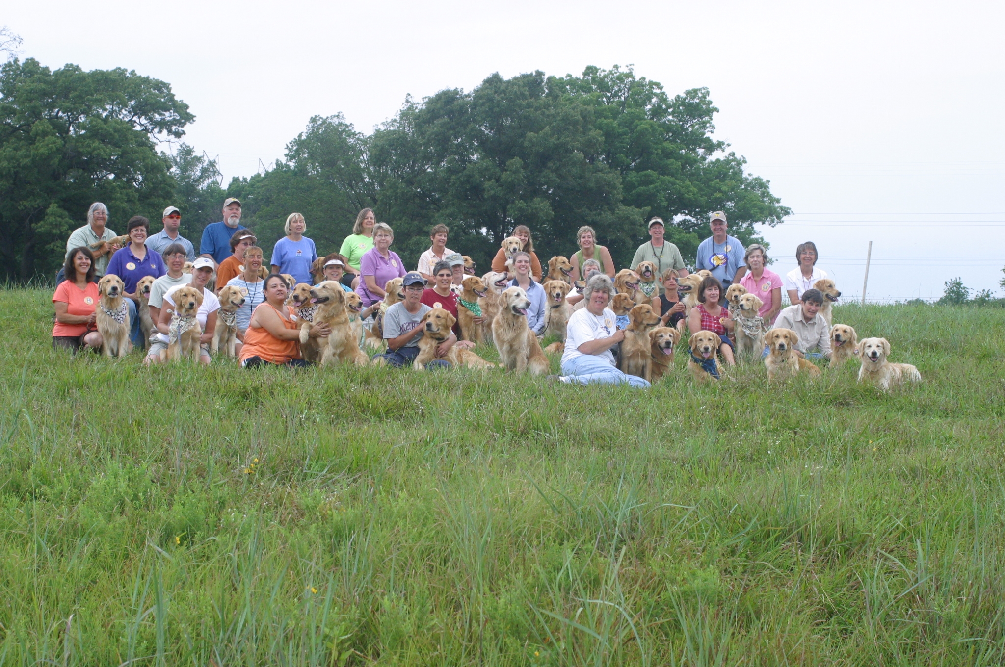 A group of dog breeders, owners and their dogs