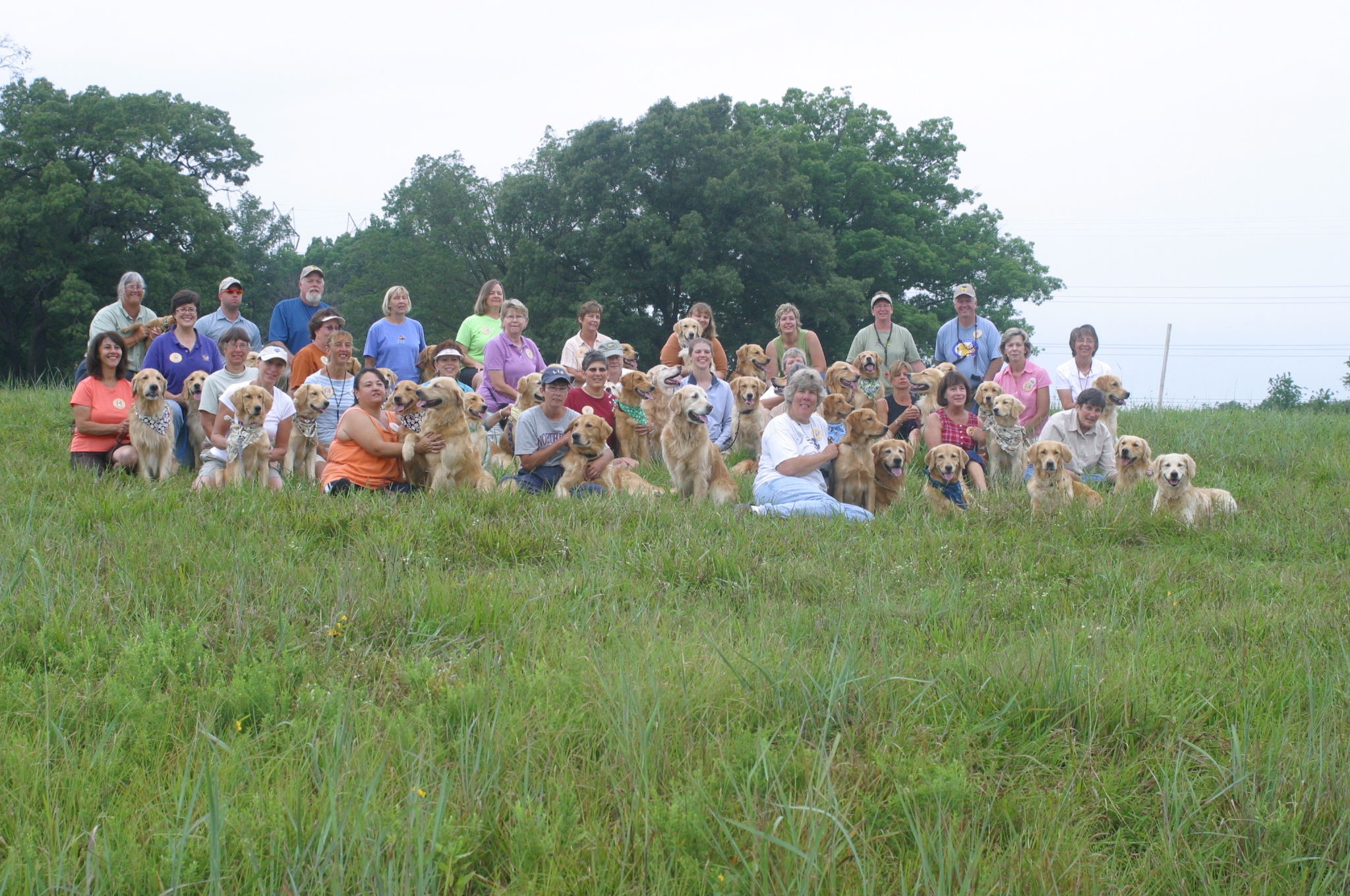 Gaylans Reunion A group of dog breeders, owners and their dogs
